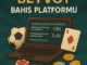 betvoy bahis platformu